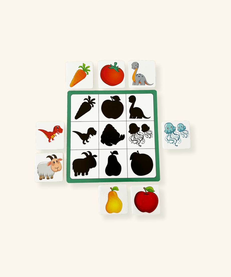 Shadow Matching Activity Set