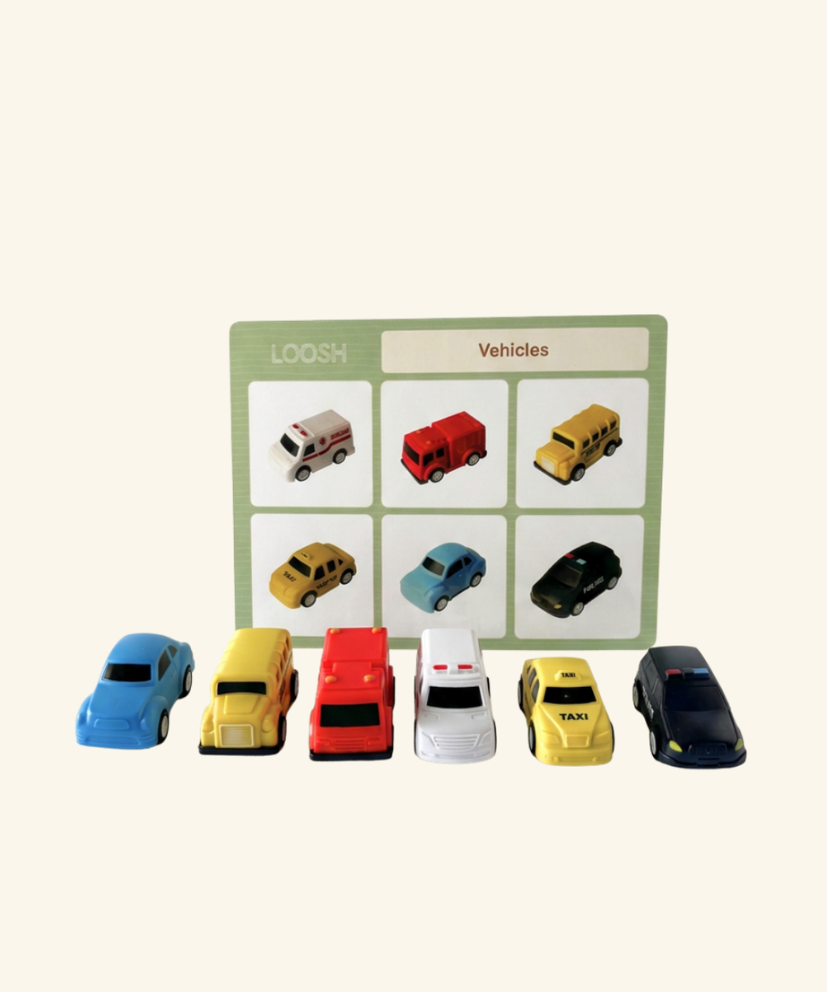 LOOSH 8-Theme Sorting Set