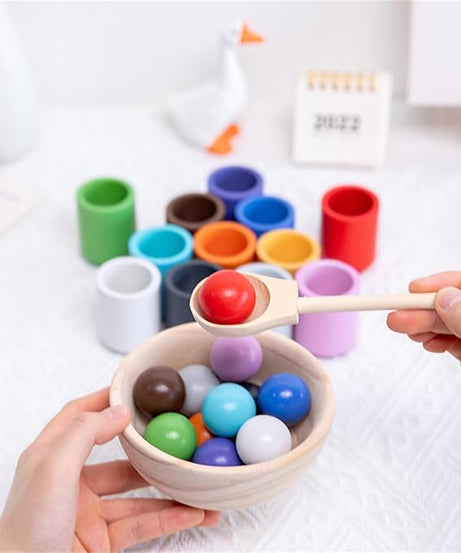 Montessori Ball and Bowl Sorting Set