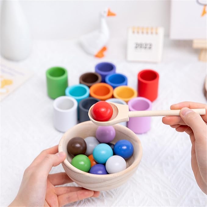 Montessori Ball and Bowl Sorting Set