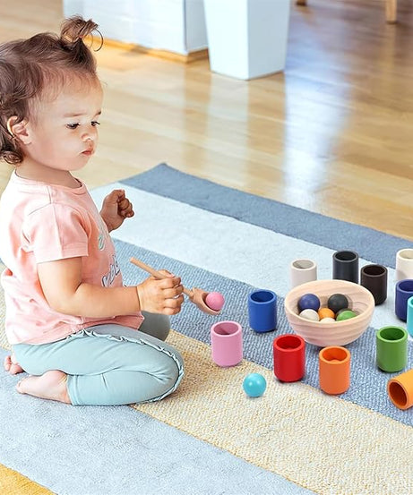 Montessori Ball and Bowl Sorting Set