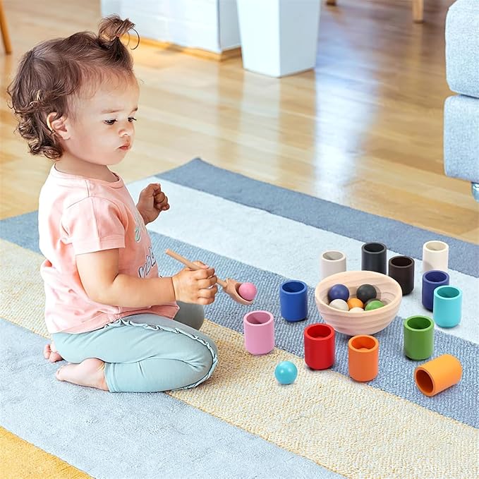 Montessori Ball and Bowl Sorting Set