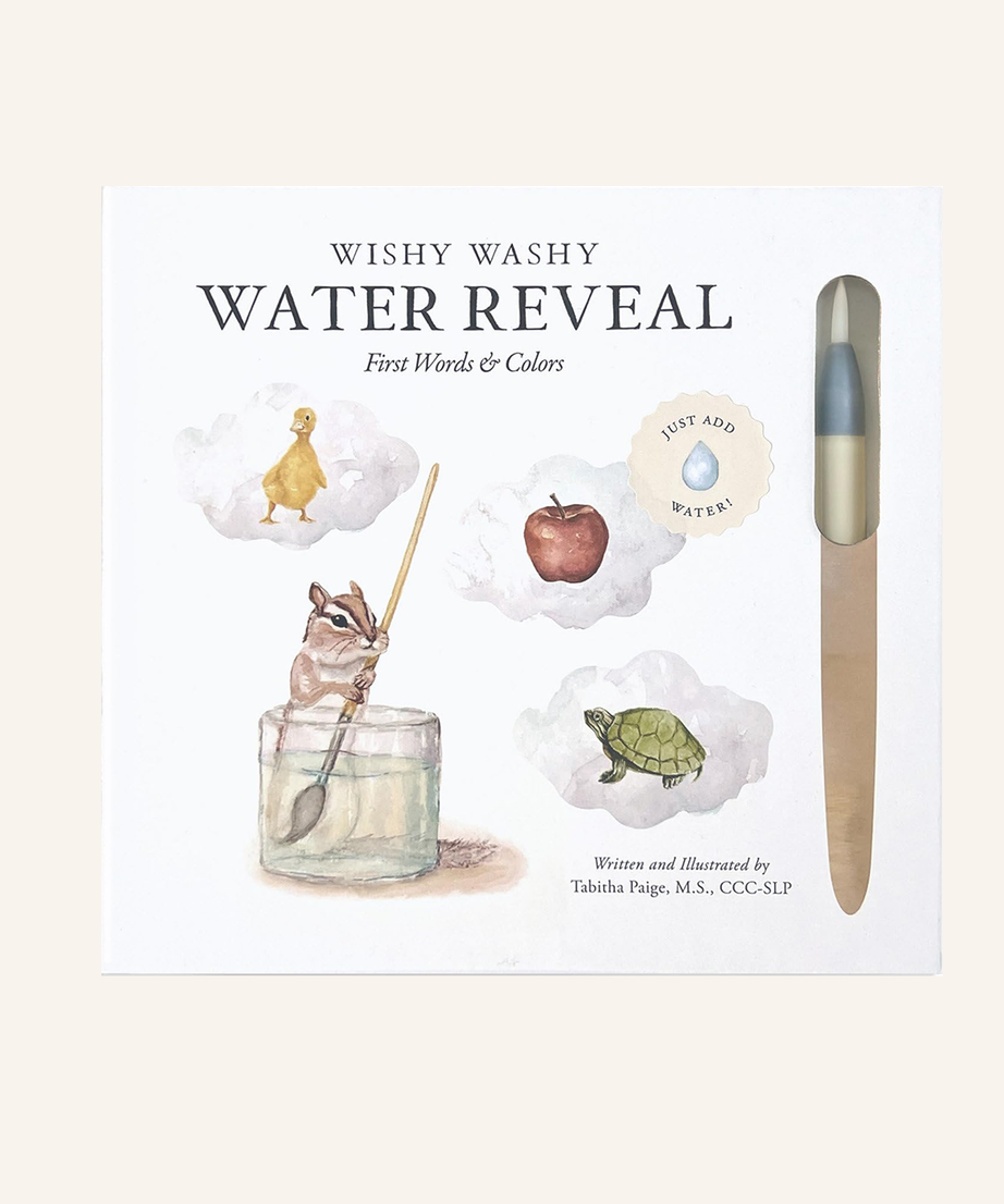 Wishy Washy First Words & Colors Water Reveal Book