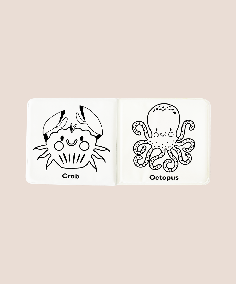 Magic Water Book
