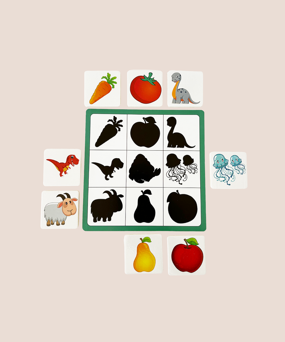 Shadow Matching Activity Set