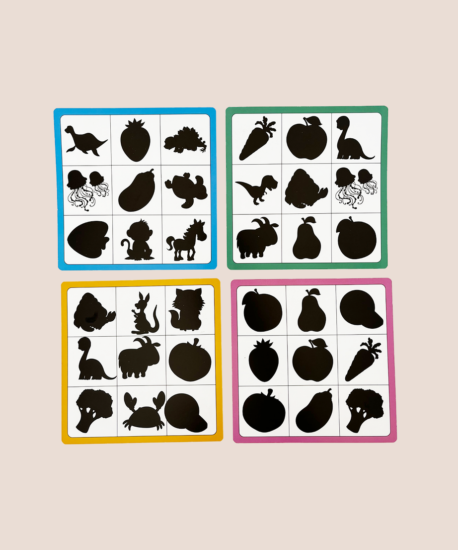 Shadow Matching Activity Set