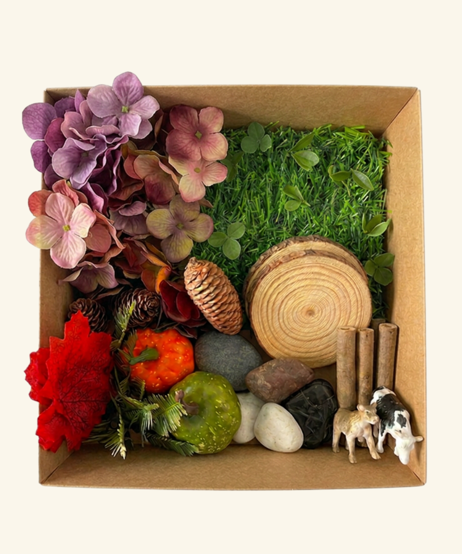 LOOSH Nature Sensory kit